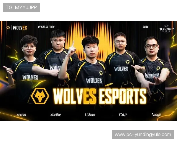 云顶赛事历届冠军战队全纪录，分析冠军战队的战术演变与战绩走势