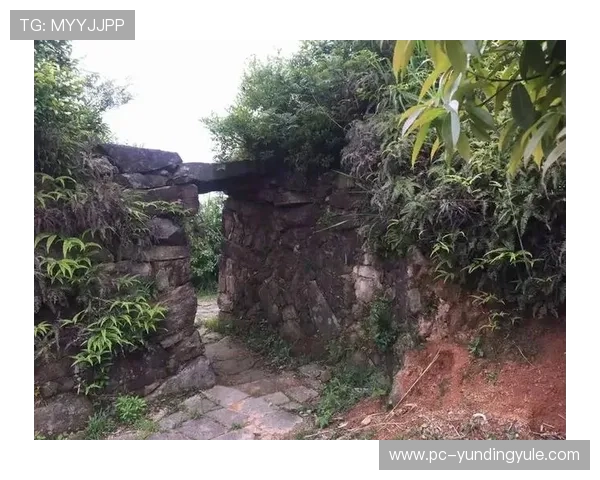 云顶山寨的准确位置在哪里，玩家如何快速找到入口和周边环境